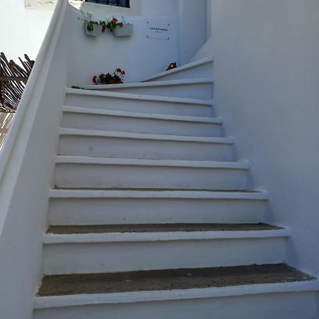 Casa Da Umbria Bed & Breakfast Odemira Dış mekan fotoğraf